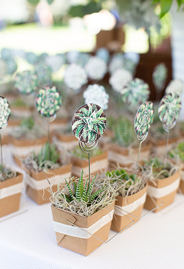 Succulent table seating 