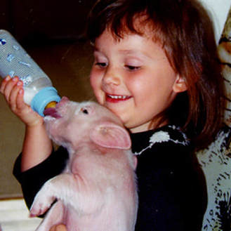 Childrens Farmyard Birthday with little pig guest