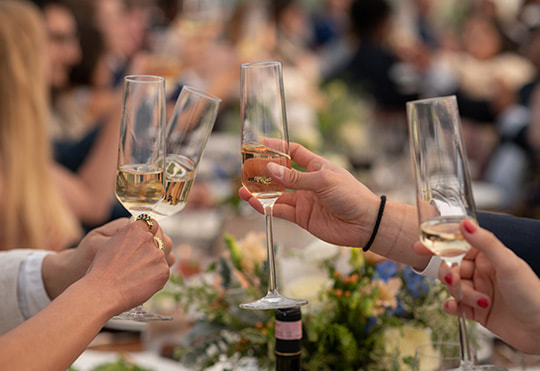 guests, cheers, champagne, wedding reception