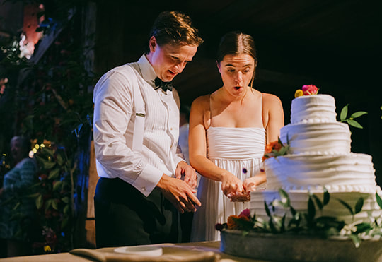 Wedding cake, flowers, dessert, bride and groom portrait