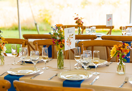 Tablescape, glassware, seating, wedding reception