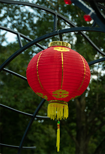 Chinese lantern decor